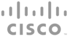 Cisco Grey with No Background
